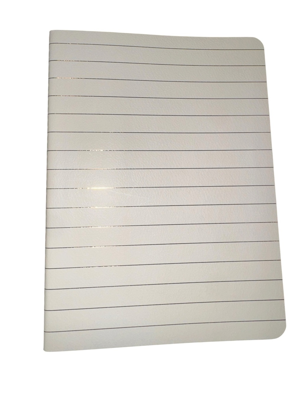 Passionate Penny Pincher Notebook